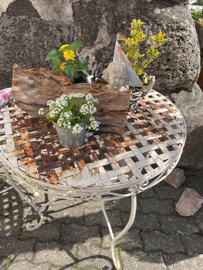 Zum Schwanen Garni Hotel Buggingen Luaran gambar