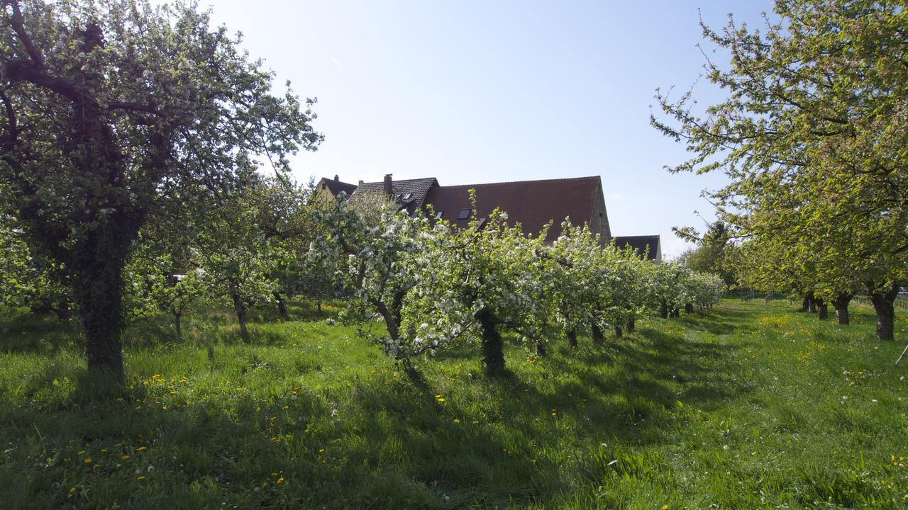 Zum Schwanen Garni Hotel Buggingen Luaran gambar